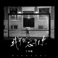我可能忘了你 - Single - 丁芙妮