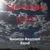Sea Cruise (feat. Frankie Ford) [Live] artwork