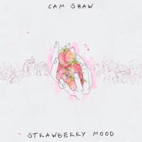 Strawberry Mood - Single - Cam Shaw