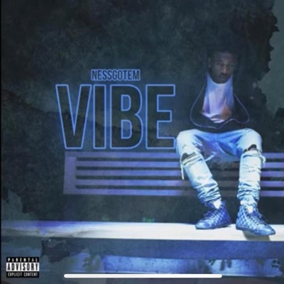 Vibe (feat. Nessgotem) - Single