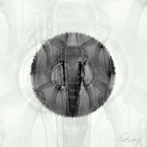 Expedition, Vol. 3 (Echoes)