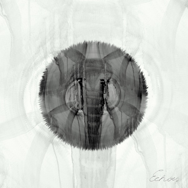 Expedition, Vol. 3 (Echoes)