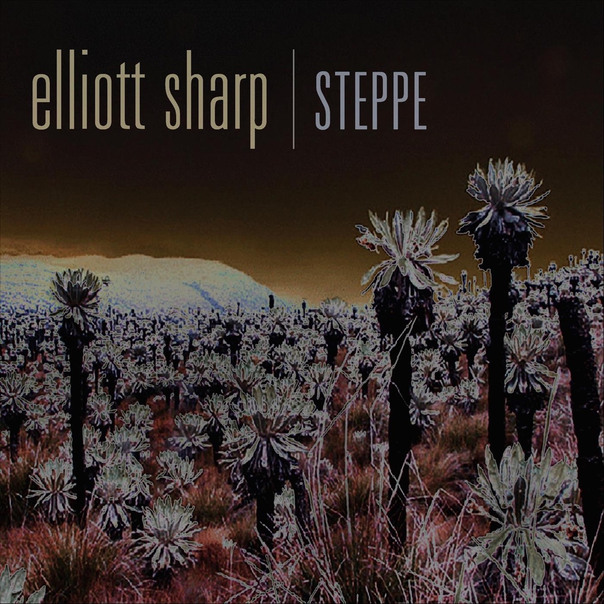 Void Patrol  Colin Stetson, Elliott Sharp, Billy Martin, Payton MacDonald