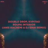 Roupa Interior (feat. Kvpitao) [Anis Hachemi & Dj Emir Remix] artwork
