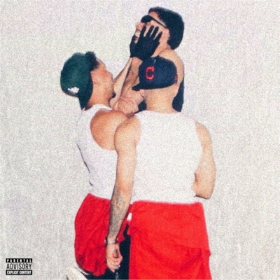 Punk (feat. Faelss) - Single