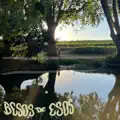 Besos de esos