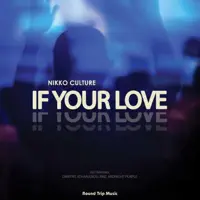 If Your Love (Dimitris Athanasiou Remix) — Nikko Culture