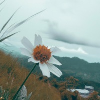 Momma - Single - Get2gether