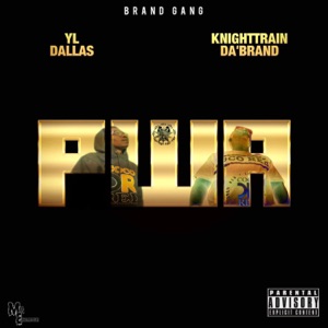 P.W.A. (feat. Yl dallas & Knighttrain da'brand)