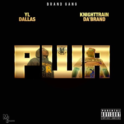 P.W.A. (feat. Yl dallas & Knighttrain da'brand) - Single