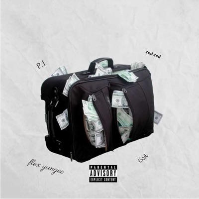 Livin It (feat. Zabi Master, zabi clan & Flex Yungeee) - Single