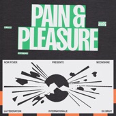 Pain & Pleasure (feat. VANYFOX & Fédération Internationale du Bruit) artwork