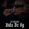 Vida De Og - Single