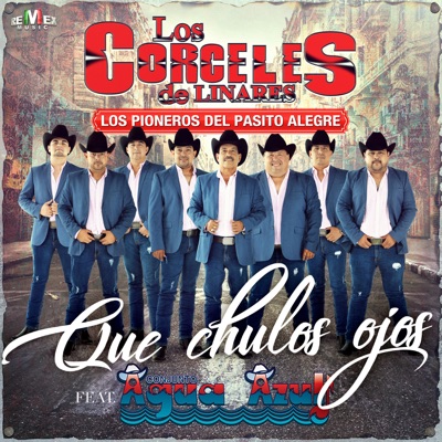 Song - Qué Chulos Ojos (feat. Conjunto Agua Azul) - Los Corceles De Linares