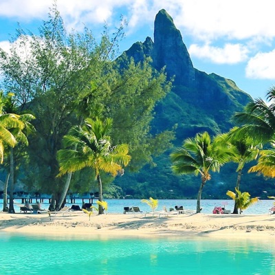 Jungle Fever (feat. Luh Dende) - Single