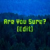 Are You Sure? (Edit) - Single