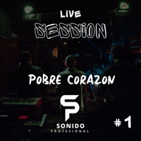 Pobre Corazón (En vivo) - Single - Sonido Profesional