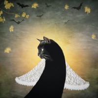 Thundercat - Single - Press Kampe