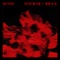 So Why (Chinese Version) [feat. 邓典] - Nene lyrics