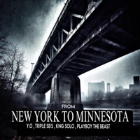 From NEW YORK To MINNESOTA (feat. Y.O, Triple Seis, King Solo & Playboy the Beast) - Single - KINGMALO