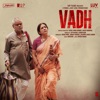 Vadh (Original Motion Picture Soundtrack) - Single