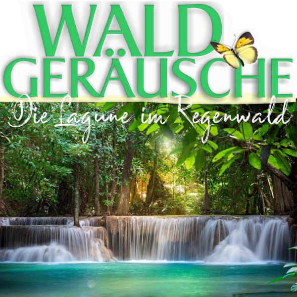Die Lagune im Regenwald