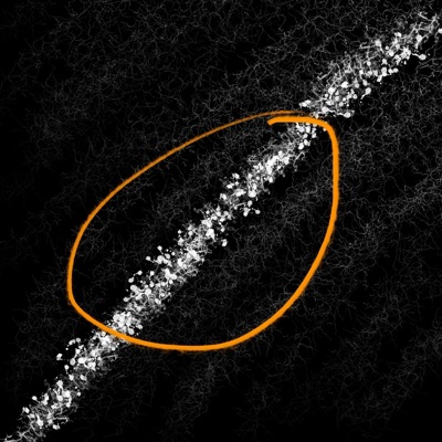 I'M Really Not a Mourning Person - EP