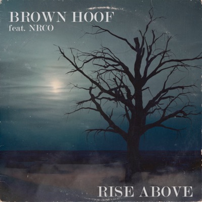 Rise Above - Single