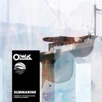 Submarine (Inspired by 'the Outlaw Ocean' a book by Ian Urbina) - Single - OLWIK & Ian Urbina