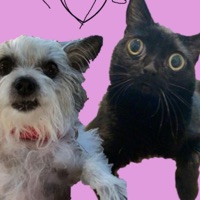 U Pick Me Up (feat. Hxpeless) - Single - mayh3mp