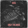 Soul - Only The Wise