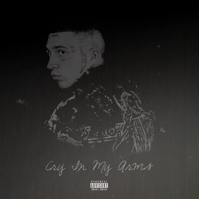 cry in my arms - Single