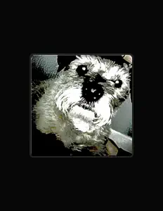 Luister naar Waudy, bekijk muziekvideo's, lees de bio, bekijk de tourdata, en meer!