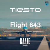 Flight 643 (Kaaze Remix) artwork