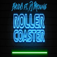 Roller Coaster (feat. DJ Brownie) - Single - Dj Evolv3