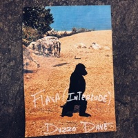 Flava! (Interlude) - Single - Duzzo Dave