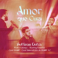 Amor Que Cura (feat. Coral Unasp & Coral Universitário do Unasp-EC) - Single - Sullivan Dutra, Weslley Fonseca & Pedro Valença