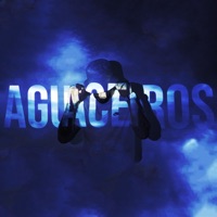 Aguaceros (feat. Silavo) - Single - Crudoh