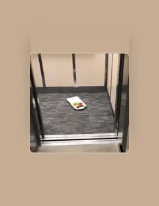 The Linguine Platter을(를) 듣고, 뮤직 비디오를 보고, 약력을 읽고, 투어 일정 등을 확인하세요!