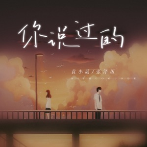 你说过的 - Single