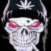 Average Memphis Song - Single - SHADXWCRYXO