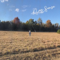 Nonsense - Single - Extra Large Holiday Card & Fantasy Camp