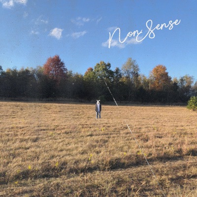 Nonsense - Single
