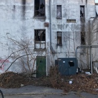 Weird White Bitch (FRYED VERSION) - Single - GH0STLY!