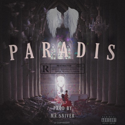 Type Beat Rnb PARADIS - Single