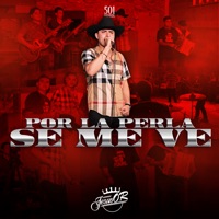 Por la Perla Se Me Ve (En Vivo) - Single - Jesús OR
