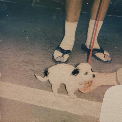 The Sun is My Daddy - Single