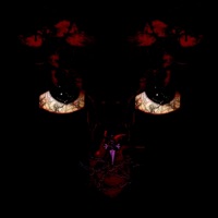 DFWM (feat. Javah & Siji Rei) - Single - Julian Del Oro