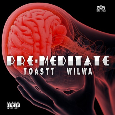 Pre-Meditate (feat. Wilwa) - Single