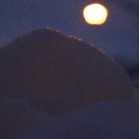 Snowedin - Single - Hibryd